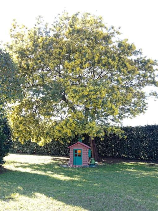 La Casina Di Campagna Tra Cecina E Bibbona Villa Dış mekan fotoğraf