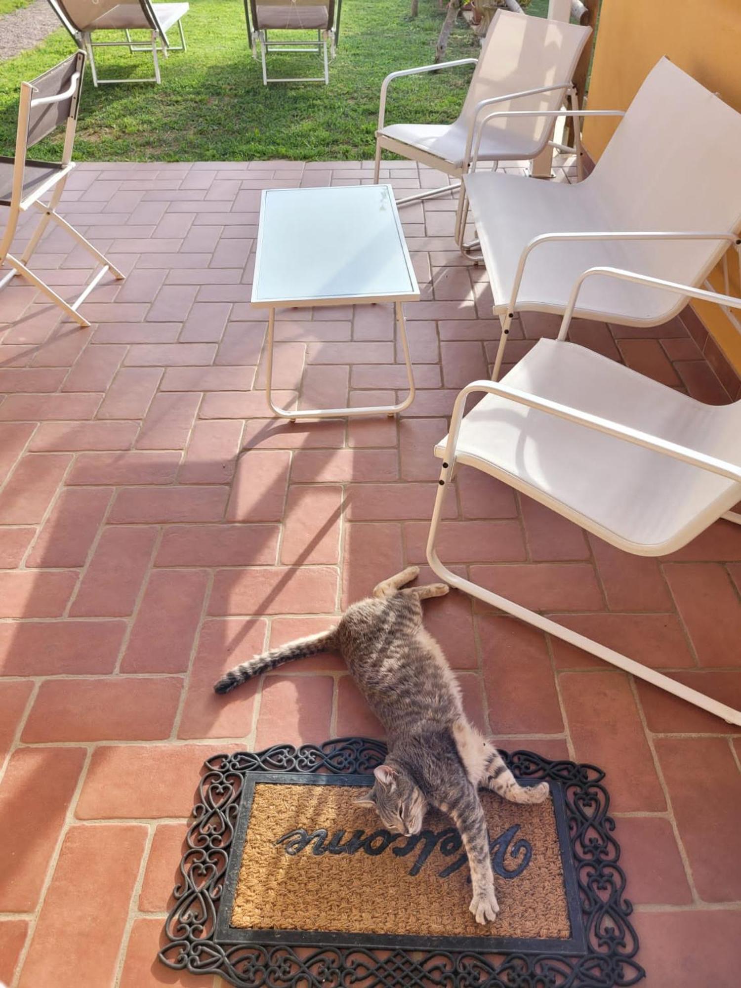 La Casina Di Campagna Tra Cecina E Bibbona Villa Dış mekan fotoğraf